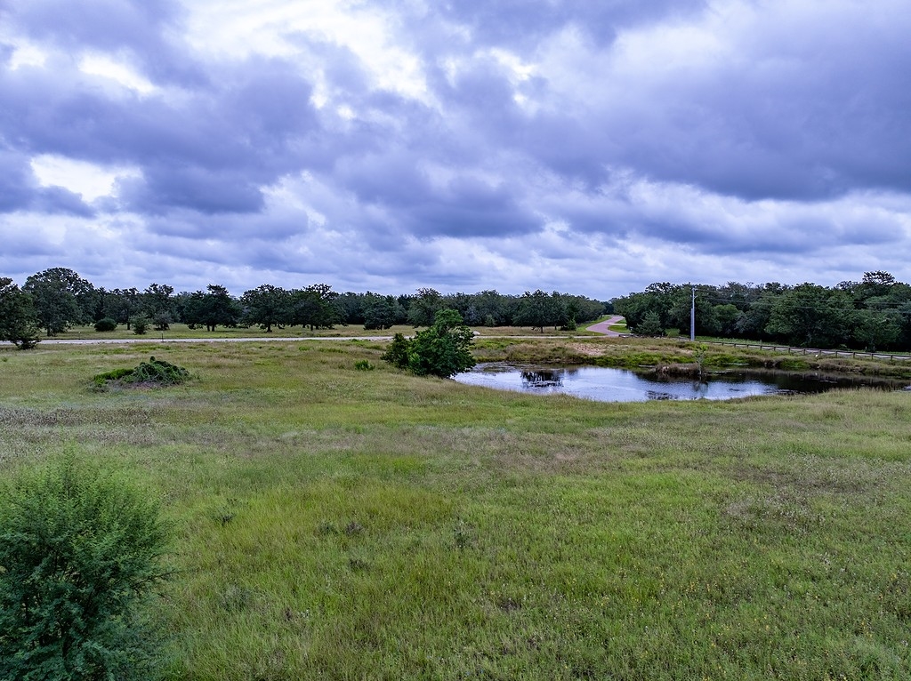 152619_198927919_Largest