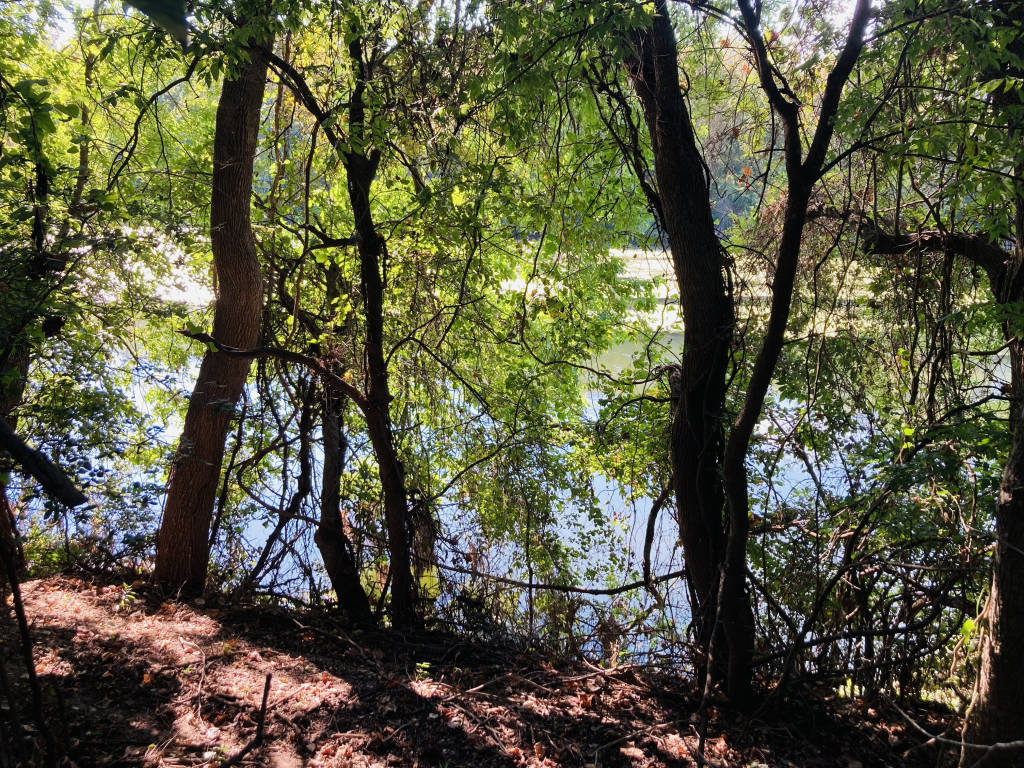 River