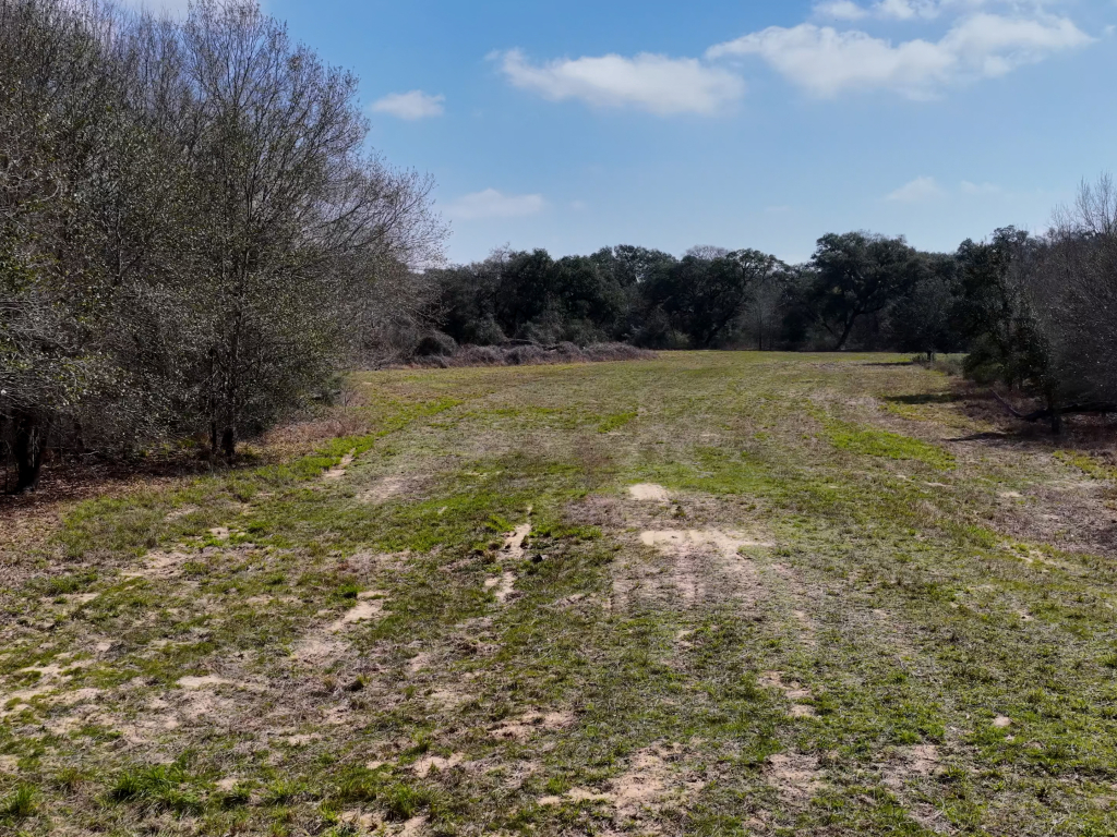 Photo (9)