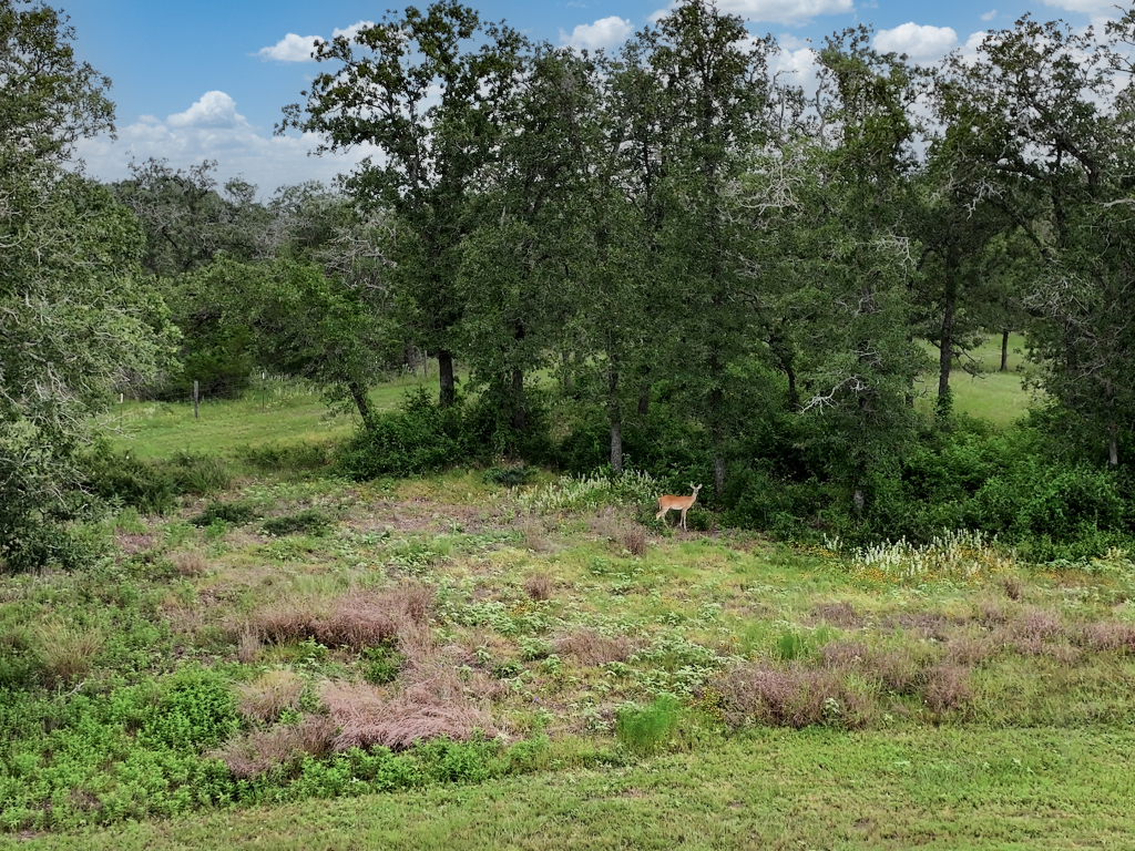 DJI_20260608151735_0078_D.00_00_34_32.Still005-Edit