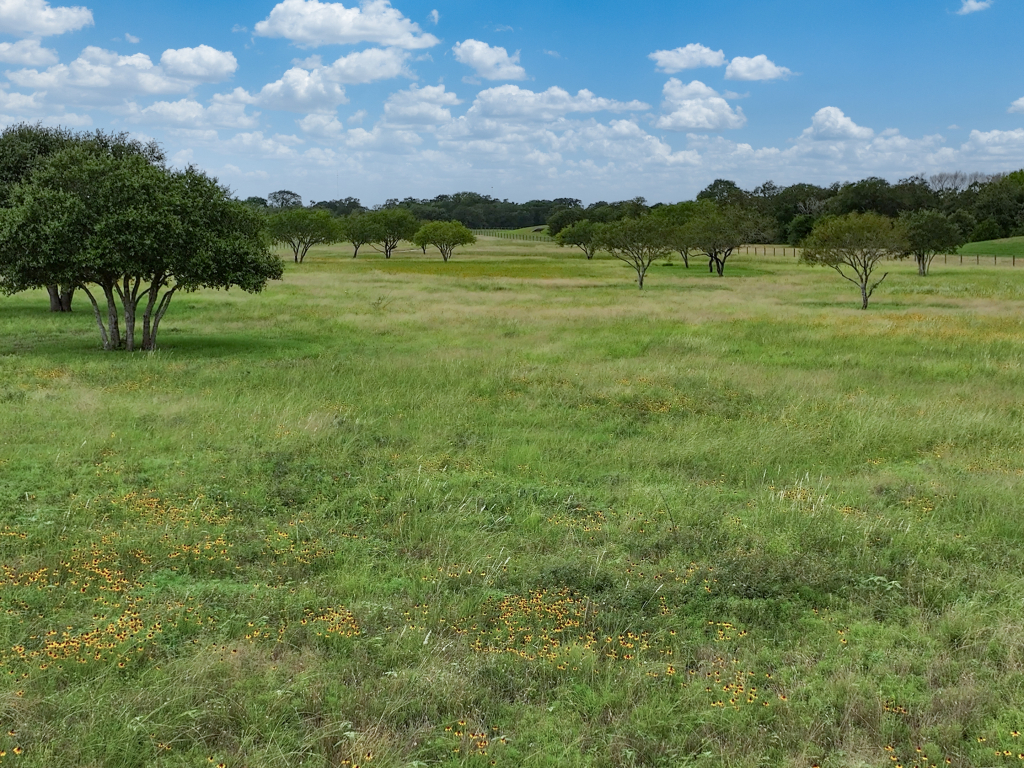 DJI_20260608151735_0078_D.00_01_45_32.Still016-Edit